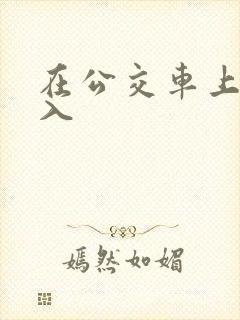 在公交车上被进入