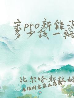 宋pro新能源多少钱一辆