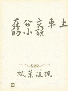 在公交车上爱爱的小说