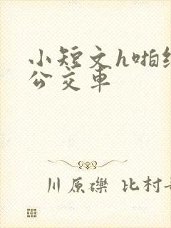 小短文h啪纯肉公交车