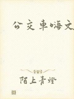 公交车嗨文