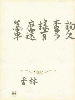 怎么样查询公交车还有多久到站