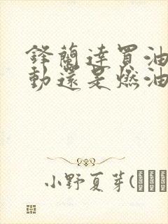 锋兰达买油电混动还是燃油车好