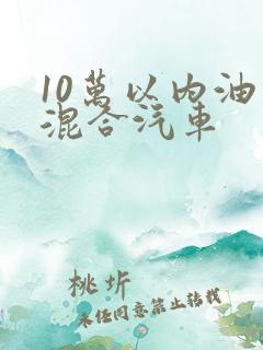 10万以内油电混合汽车