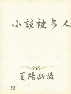 小说被多人操