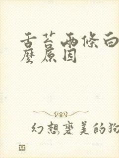 舌苔两条白是什么原因