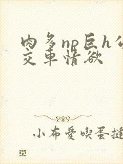肉多np巨h公交车情欲