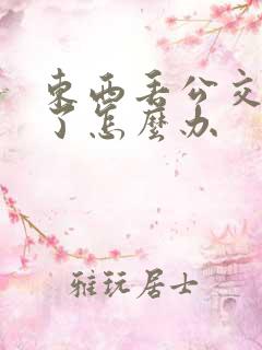 东西丢公交车上了怎么办