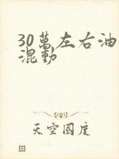 30万左右油电混动