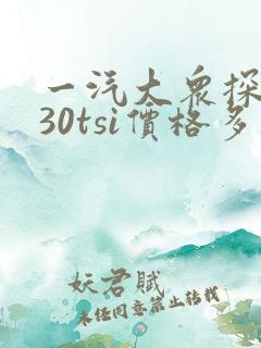 一汽大众探岳330tsi价格多少