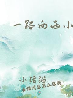 一路向西小说