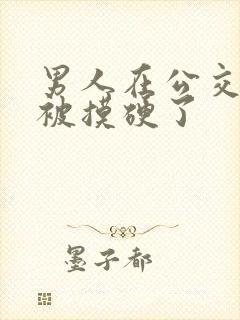 男人在公交车上被摸硬了