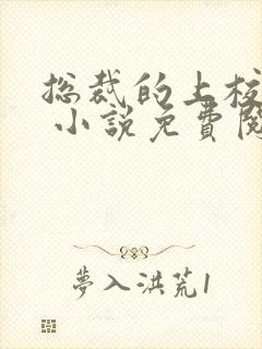 总裁的上校冷妻 小说免费阅读