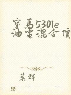 宝马530le油电混合价格2019