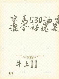 宝马530油电混合好还是燃油的好
