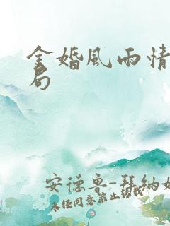 金婚风雨情大结局