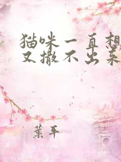 猫咪一直想撒尿又撒不出来
