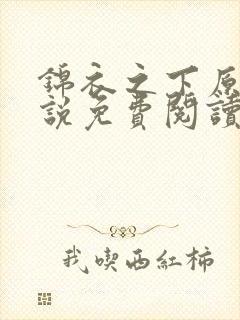 锦衣之下原著小说免费阅读