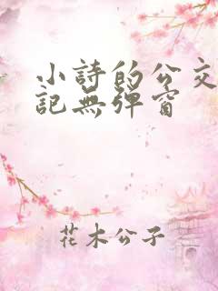 小诗的公交车日记无弹窗