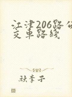 江津206路公交车路线