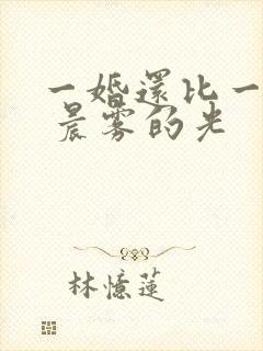 一婚还比一婚高 晨雾的光