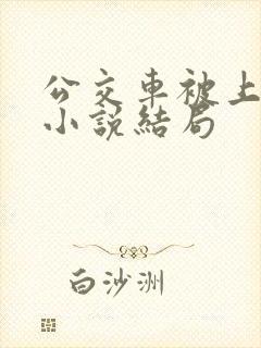 公交车被上高潮小说结局