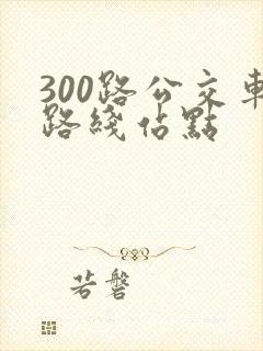 300路公交车路线站点