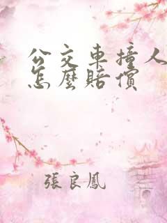 公交车撞人全责怎么赔偿