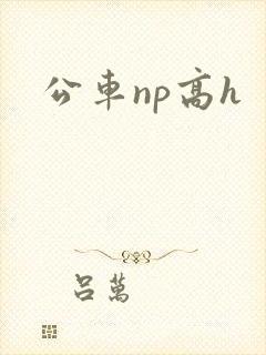 公车np高h