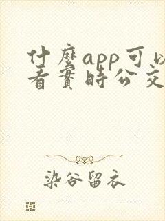 什么app可以看实时公交车