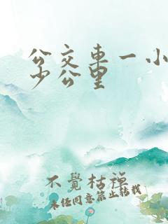 公交车一小时多少公里