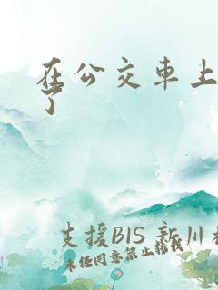 在公交车上被插了