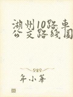 湖州10路车的公交路线图
