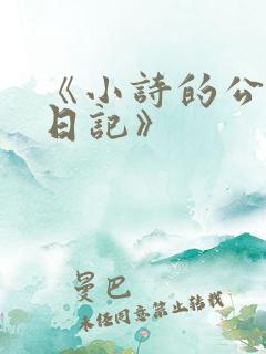《小诗的公交车日记》