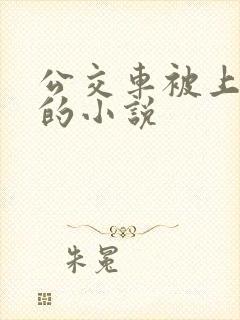 公交车被上高潮的小说