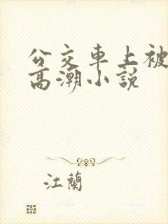 公交车上被插到高潮小说