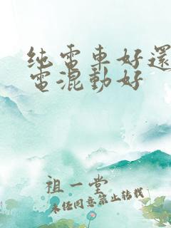 纯电车好还是油电混动好