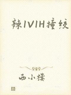 辣1V1H撞绞