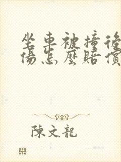 坐车被撞后排受伤怎么赔偿