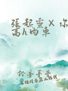 张起灵×你纯肉高h肉车