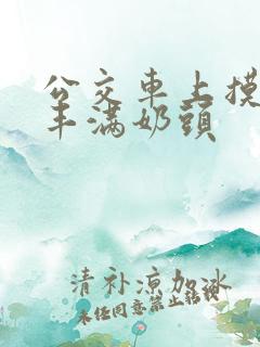 公交车上摸少妇丰满奶头