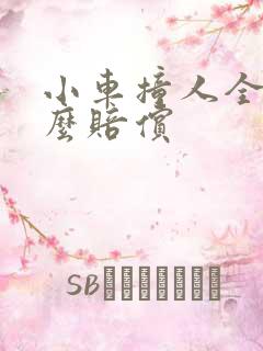 小车撞人全责怎么赔偿