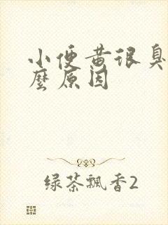 小便黄很臭是什么原因
