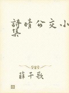 诗晴公交小说全集