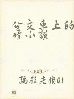 公交车上的诗请晴小说