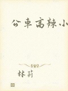 公车高辣小说