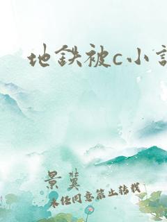 地铁被c小说
