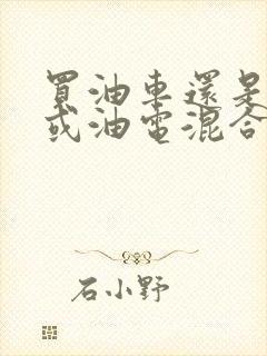 买油车还是电车或油电混合好