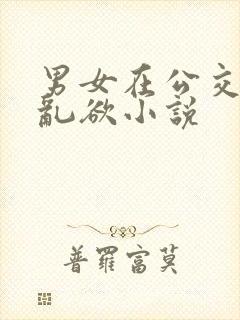 男女在公交车上乱欲小说