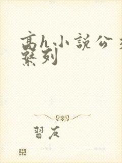 高h小说公交车系列